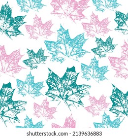 imprint maple leaf, vector graphic. Pattern of prints of monochrome leaves on white background. maple.