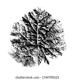 Aufdruck eines natürlichen Grasblattes. Einziger botanischer Bestandteil. geeignet für die Konstruktion; Muster; Postkarte; drucken. Vektorgrafik.