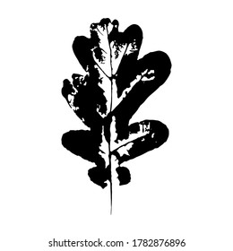 Imprint of a natural oak leaf. Black silhouette of a leaf. Botanical vector illustration. Suitable for design, pattern, print, postcards.