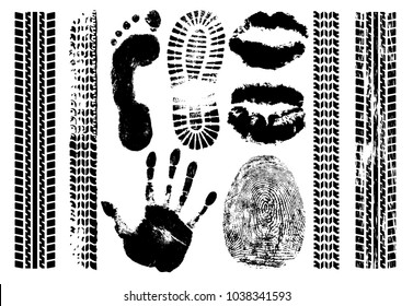 Imprint set evidence. Handprint, footprint, fingerprint, print of the lips, tire tracks. Isolated silhouette vector on white background