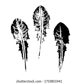 Impresiones de hojas de león. Conjunto de siluetas de hojas. Ilustración vectorial botánica. Adecuado para imprimir, tarjetas, patrones, diseño.