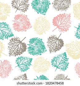 imprints herbs, flowers and leaves. Printing on fabric, card. Stylish decoration for social media, blog post, interior design.