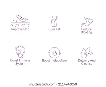 Improve Skin, Burn Fat, Reduce Bloating, Boost Immune System, Boost Metabolism, Detoxify And Cleanse Icon Set Vector