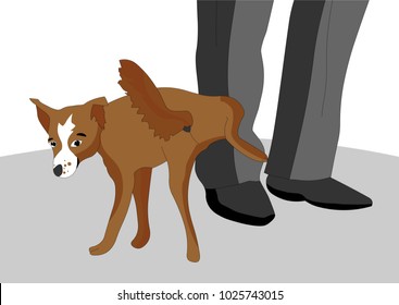 The impudent and disobedient dog decided to pee on the foot of the owner, she has a snide look, vector illustration