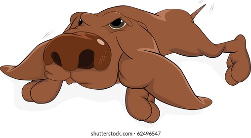 Impudent dog