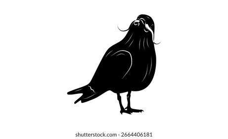 Inca Tern pájaro, silueta aislada negra