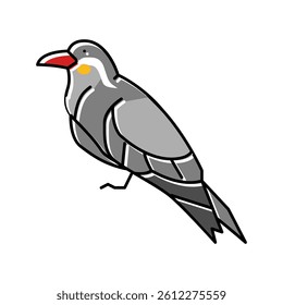 inca tern bird exotic color icon vector. inca tern bird exotic sign. isolated symbol illustration