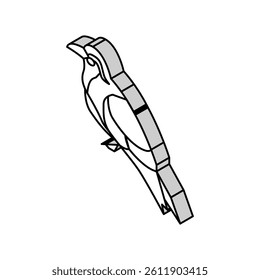 inca tern bird exotic isometric icon vector. inca tern bird exotic sign. isolated symbol illustration