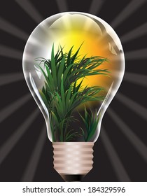 incandescent lamp
