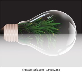 	 incandescent lamp