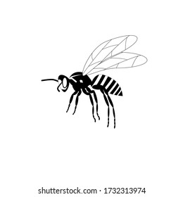 Incect Wasp Icon. Vector Illustration