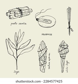 Incense,smudge stick. Illustration of sage, dry white sage, Palo Santo sacred tree, incense sticks, aromatherapy and fumigation, spiritual practices. Hand-drawn illustration 