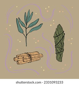 Incense,smudge stick. Illustration of sage, dry white sage, Palo Santo sacred tree, incense sticks, aromatherapy and fumigation, spiritual practices. Hand drawn vector illustration	