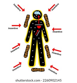 incensitive will come when you are not being in the present, everything you feel in your heart, it into to your brain and this is why your body control in your brain, you head, you hand and etc.