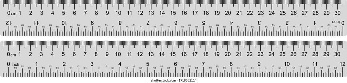 Inch and metric rulers. Centimeters and inches measuring scale cm metrics indicator
