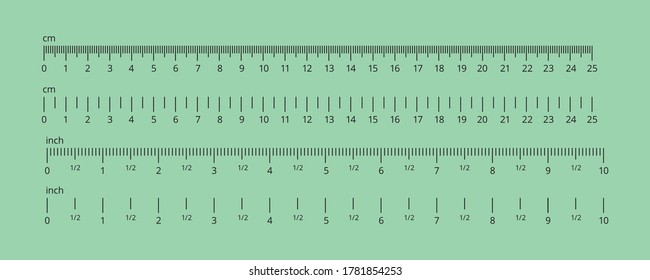 Inch and metric rulers - vector