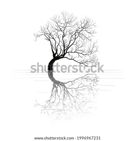 Inclination tree reflecting in water