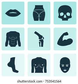 Includes Icons Such As Skeleton, Knee, Leg And Other.  Body Icons Set. 