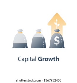 Income increase, revenue growth, high interest rate, financial budget, earn more money, raising capital, invest fund portfolio, business profit, long term investment, plant stem, vector icon
