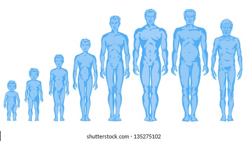 Increasing male body shapes, proportions of man, child, adolescent, old, male body development - full body