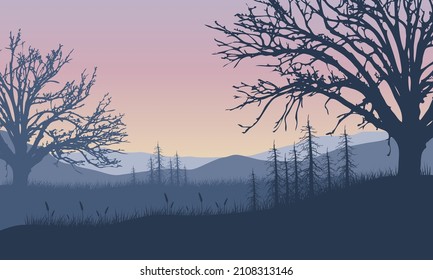 Incredible Mountain view with forest from the village