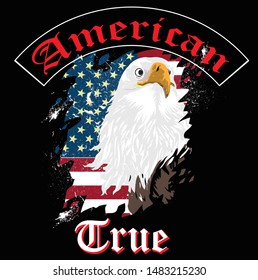 Independence day America. Happy veterans day. Detailed elements. Old retro vintage grunge. Scratched, damaged, dirty effect. Typographic label, stickers, logos and badges. Flat vector