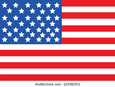 independence day america  vector image of american flag