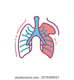 In-Depth Diagram of Diaphragm Anatomy Icon