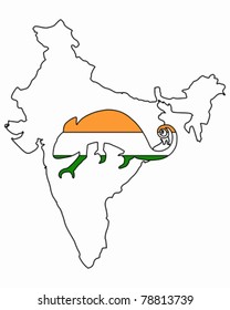 India Chameleon