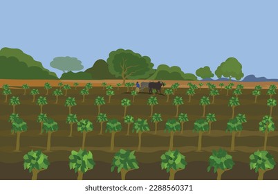 Indian agriculture land and crops growing on the field