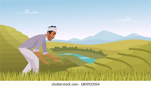 Indian agriculture landscape. Farmer working in indian rice fields rural worker vector cartoon background