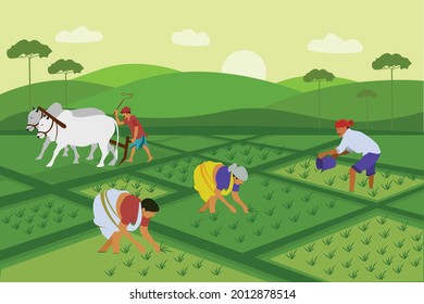 Indian agriculture working. Farmer harvesting in field asia vector background in cartoon style