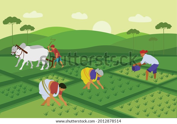 Indian agriculture working.\
Farmer harvesting in field asia vector background in cartoon\
style