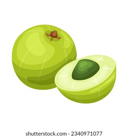 indian amla fruit cartoon. leaf food, organic herbal, fresh health indian amla fruit isolated vector illustration