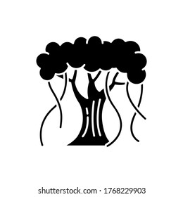 Indian banyan black glyph icon. National Indian evergreen tree with wide crown. Symbol of eternal life and unity. Upside down tree. Silhouette symbol on white space. Vector isolated illustration