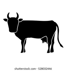 Indian brown cow