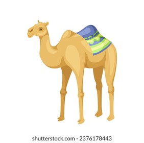 Indian camel with saddle concept. Animal with traditional indian clothes. African wild life and fauna. Poster or banner. Cartoon flat vector illustration isolated on white background