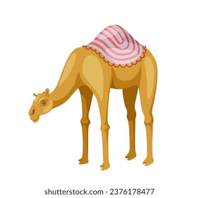 Indian camel with saddle concept. Animal with traditional indian clothes. Sticker for social networks and messengers. Cartoon flat vector illustration isolated on white background
