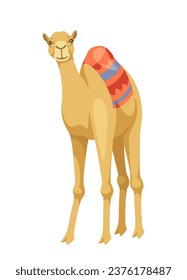 Indian camel with saddle concept. Animal with traditional indian clothes. Wild life and mammal. Graphic element for website. Cartoon flat vector illustration isolated on white background