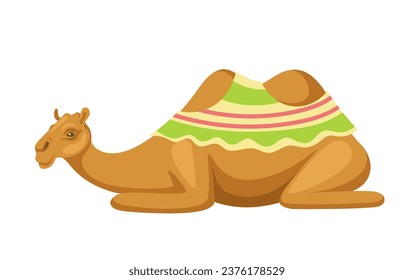 Indian camel with saddle concept. Animal with traditional indian clothes. Zoology and biology. Social media sticker. Cartoon flat vector illustration isolated on white background