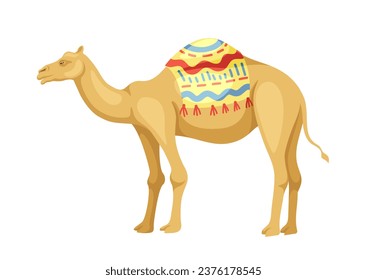 Indian camel with saddle concept. Animal with traditional indian clothes. Traditional african caravan transport. Poster or banner. Cartoon flat vector illustration isolated on white background