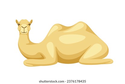 Indian camel with saddle concept. White animal lies. Culture and history of Africa. Sticker for social networks and messengers. Cartoon flat vector illustration isolated on white background