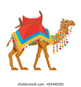 Indian camel traditional colorful decorated