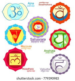 Indian chakra  a color set. vector illustration