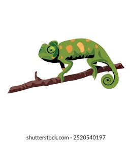 indian chameleon animal on a branch 