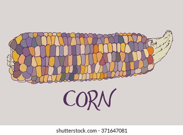 Indian corn sketch. Hand drawn cartoon vegetable - cob of corn. Doodle drawing. Vector illustration