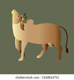 Indian cow looking upward in light brown color on gray background.