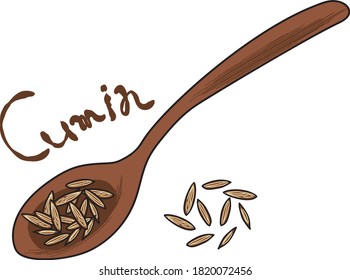 Indian curry spice cumin illustration