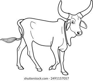 Indian Desi Bull illustration. Hand drawn in thin line style