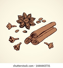 Indian dry anisestar badiam pod of anis bud, cannella cassia bark on white backdrop. Bright brown hand drawn staranise, cinamon in retro art doodle style. Close-up macro chinese sweet cinammon product